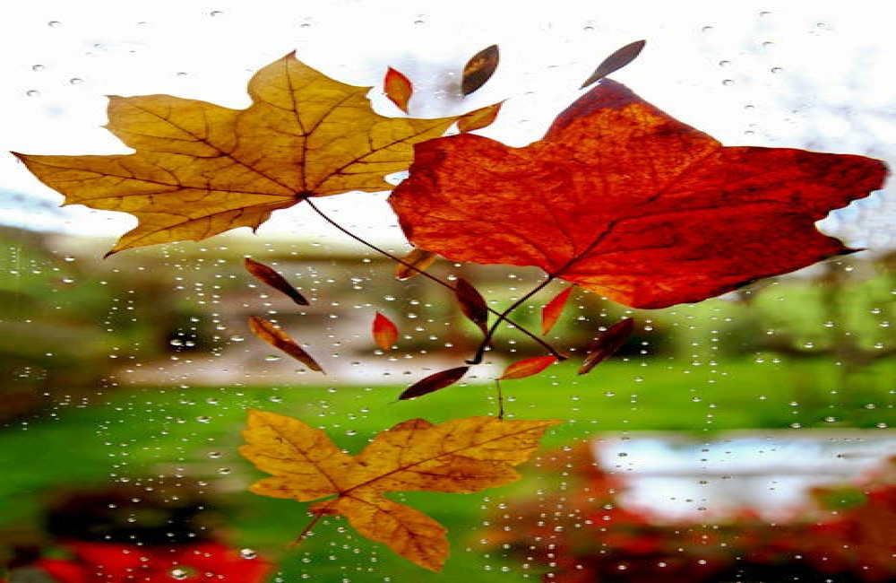 Waarom roept de geur van regen zulke sterke herinneringen op?