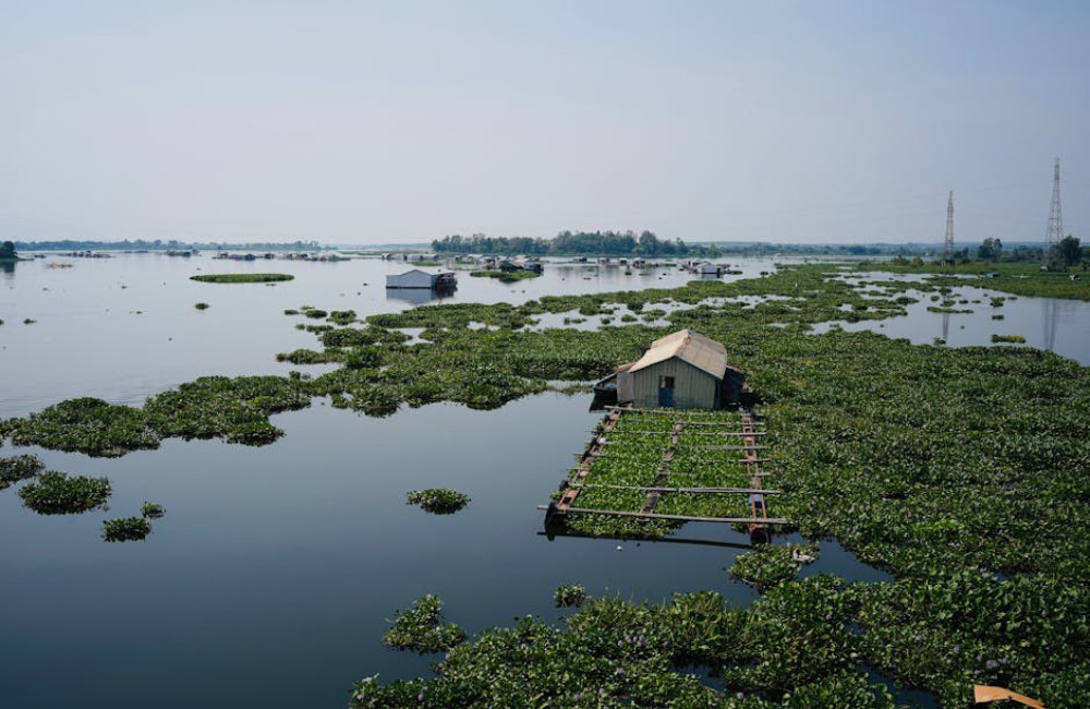 Waarom worden je vingers rimpelig in water