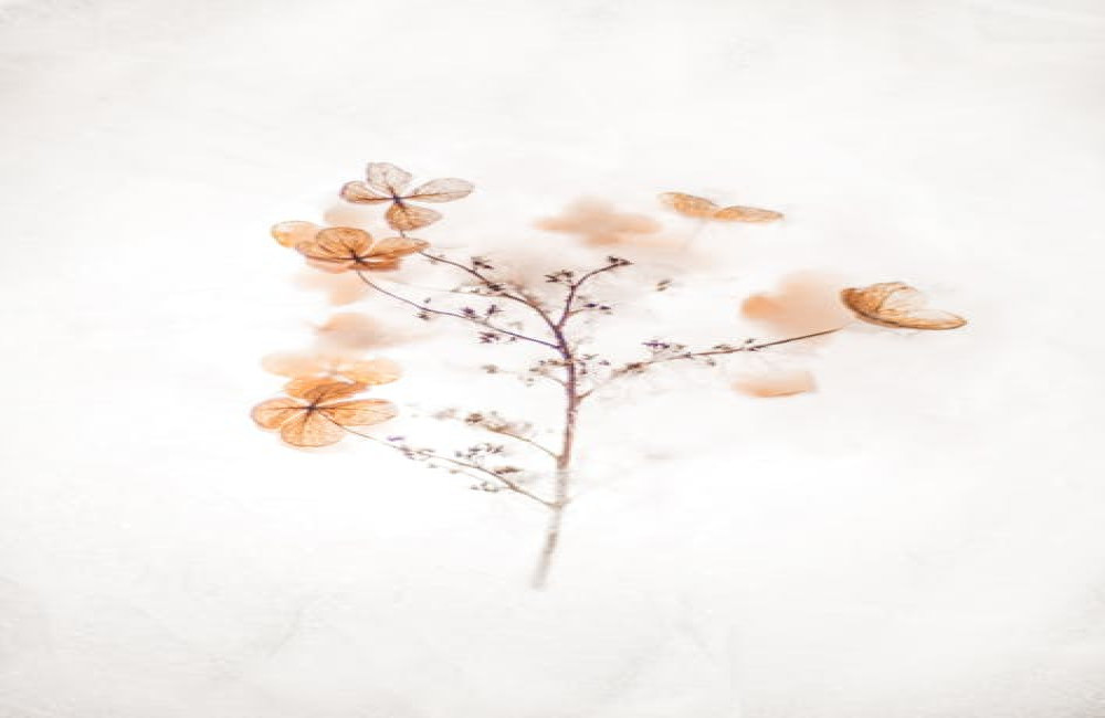 Hoe begin je met minimalisme zonder al je spullen weg te gooien