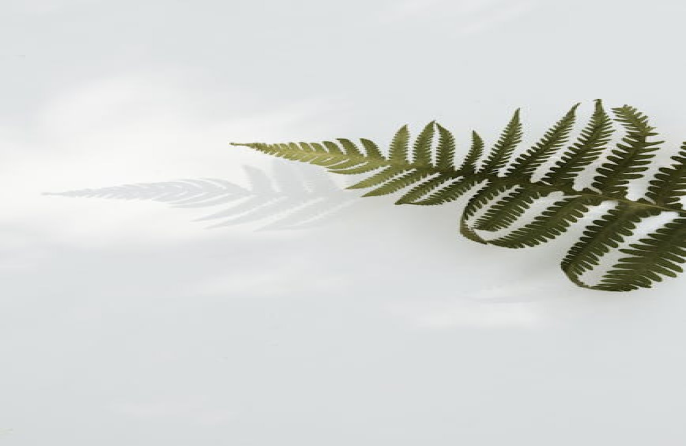 Waarom voelen sommige mensen zich aangetrokken tot minimalisme?